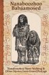 Nanaboozhoo Babaamosed - Bild 1