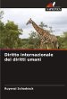 Diritto internazionale dei diritti umani - Bild 1