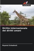 Diritto internazionale dei diritti umani