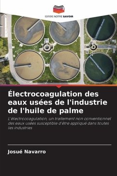 Électrocoagulation des eaux usées de l'industrie de l'huile de palme - Navarro, Josué