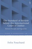 The Standard of Review before the International Court of Justice (eBook, ePUB)