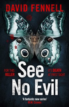 See No Evil (eBook, ePUB) - Fennell, David