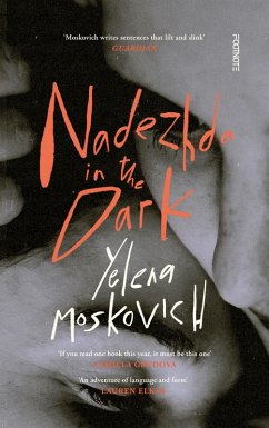 Nadezhda in the Dark (eBook, ePUB) Cover Nadezhda in the Dark (eBook, ePUB)