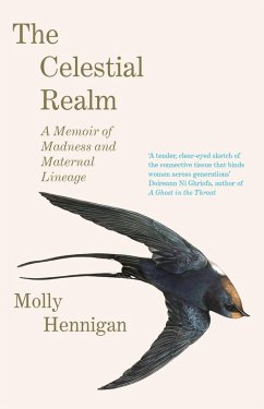Cover The Celestial Realm: SHORTLISTED FOR THE SUNDAY INDEPENDENT NEWCOMER OF THE YEAR IRISH BOOK AWARDS (eBook, ePUB)