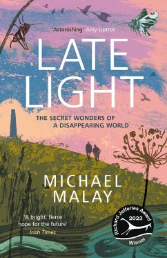 Late Light (eBook, ePUB) - Malay, Michael