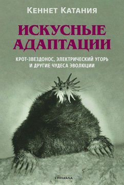 Искусные адаптации (eBook, ePUB) - Катания, Кеннет