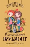 Секрет синей папки (eBook, ePUB)