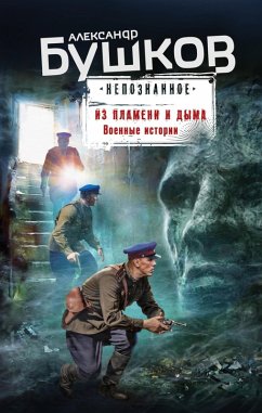 Iz plameni i dyma. Voennye istorii (eBook, ePUB) - Bushkov, Alexander
