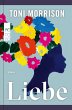 Liebe (eBook, ePUB) - Bild 1