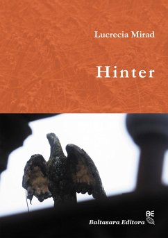 Hinter (eBook, ePUB) - Mirad, Lucrecia
