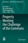 Property Meeting the Challenge of the Commons