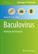 Baculovirus - Bild 1