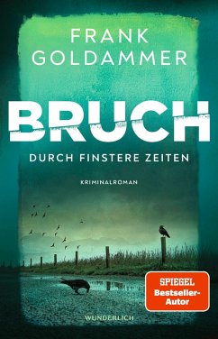 Durch finstere Zeiten / Felix Bruch Bd.3 - Goldammer, Frank
