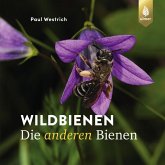 Wildbienen die anderen Bienen