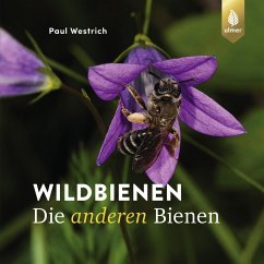 Wildbienen, die anderen Bienen - Westrich, Paul