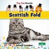 Scottish Fold