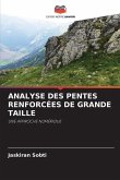 ANALYSE DES PENTES RENFORCÉES DE GRANDE TAILLE
