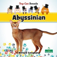 Abyssinian - Conaghan, Bernard