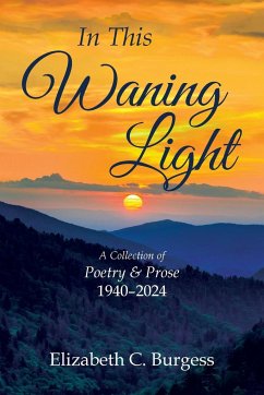 In This Waning Light - Burgess, Elizabeth C.
