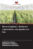 Micro-irrigation : Renforcer l'agriculture, une goutte à la fois