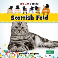 Scottish Fold - Conaghan, Bernard