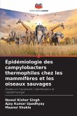 Épidémiologie des campylobacters thermophiles chez les mammifères et les oiseaux sauvages