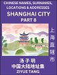 Shanghai City Municipality (Part 8)-... - Bild 1