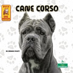 Cane Corso - Fickett, Corinne