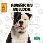 American Bulldog