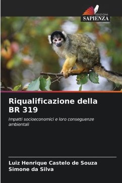 Riqualificazione della BR 319 - Castelo de Souza, Luiz Henrique;da Silva, Simone