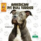 American Pit Bull Terrier American Pit Bull Terrier