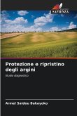 Protezione e ripristino degli argini