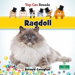 Ragdoll - Conaghan, Bernard