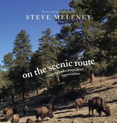 On The Scenic Route - Meleney, Steve