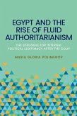 Egypt and the Rise of Fluid Authoritarianism