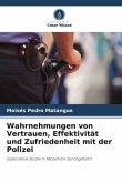 Wahrnehmungen von Vertrauen, Effektivität und Zufriedenheit mit der Polizei