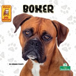 Boxer - Fickett, Corinne