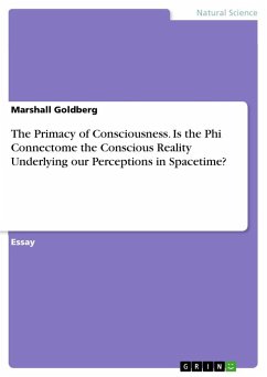 The Primacy of Consciousness. Is the Phi Connectome the Conscious Reality Underlying our Perceptions in Spacetime?