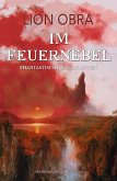 Im Feuernebel (eBook, ePUB)