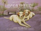 The Adventures of Bay & Breezy (eBook, ePUB)