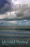 Hurricane Baby: Stories (eBook, ePUB)