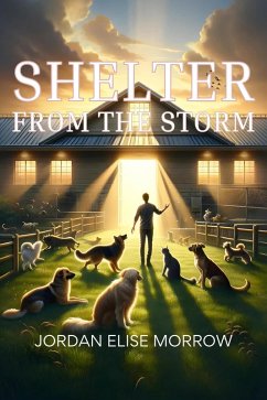 Cover Shelter from the Storm (eBook, ePUB)