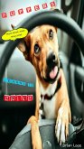 Puppers Learns to Drive (eBook, ePUB) Puppers Learns to Drive (eBook, ePUB)