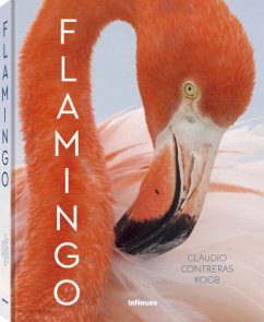 Flamingo (Restauflage) - Contreras Koob, Claudio
