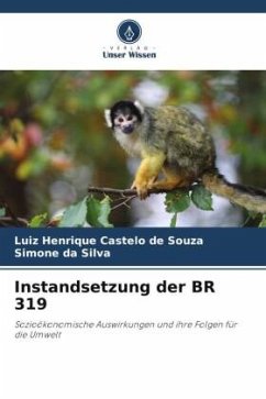 Instandsetzung der BR 319 - Castelo de Souza, Luiz Henrique;da Silva, Simone