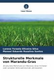 Strukturelle Merkmale von Marandu-Gras