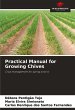 Practical Manual for Growing Chives - Bild 1