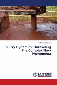 Slurry Dynamics: Unraveling the Complex Flow Phenomena - Bhandari, Prabhakar