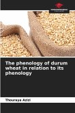The phenology of durum wheat in relation to its phenology