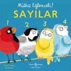 Sayilar - Müthis Eglenceli Ciltli